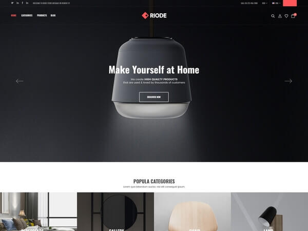 Riode html5 template demo-8
