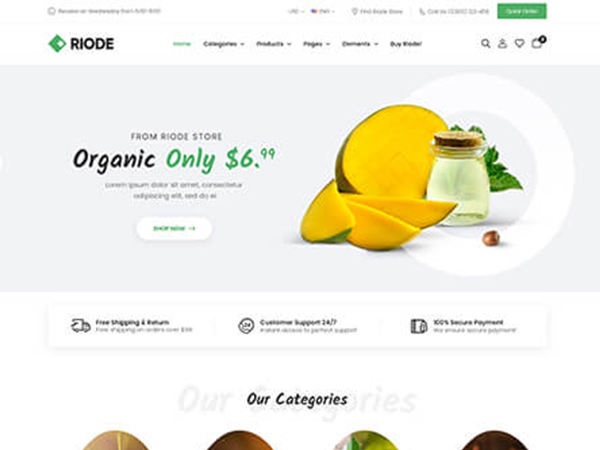 Riode html5 template Diamart
